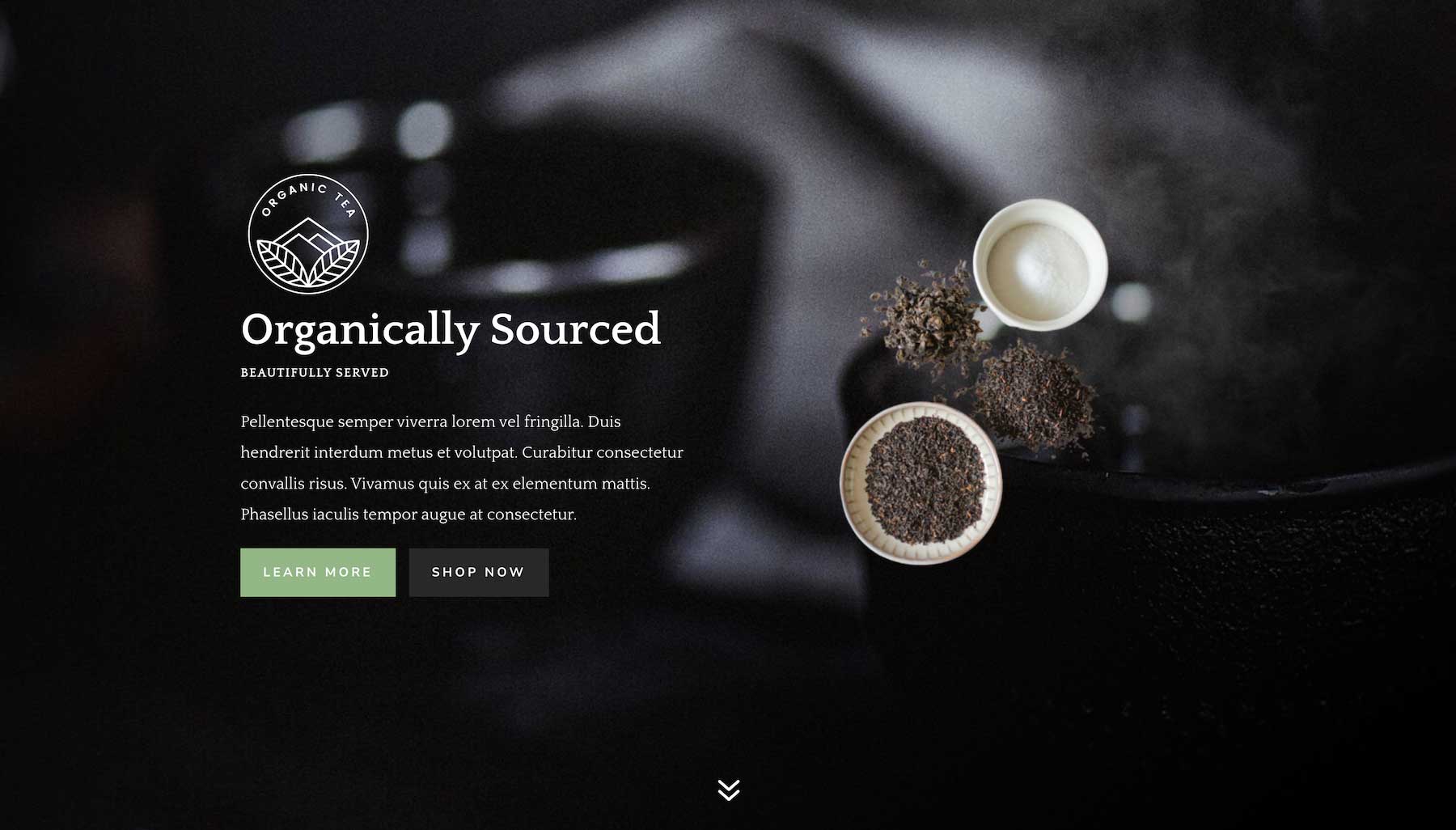 Example of the Divi Fullwidth Header Module