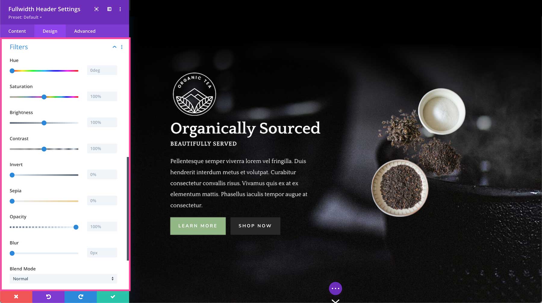 Divi Fullwidth Header Module filters