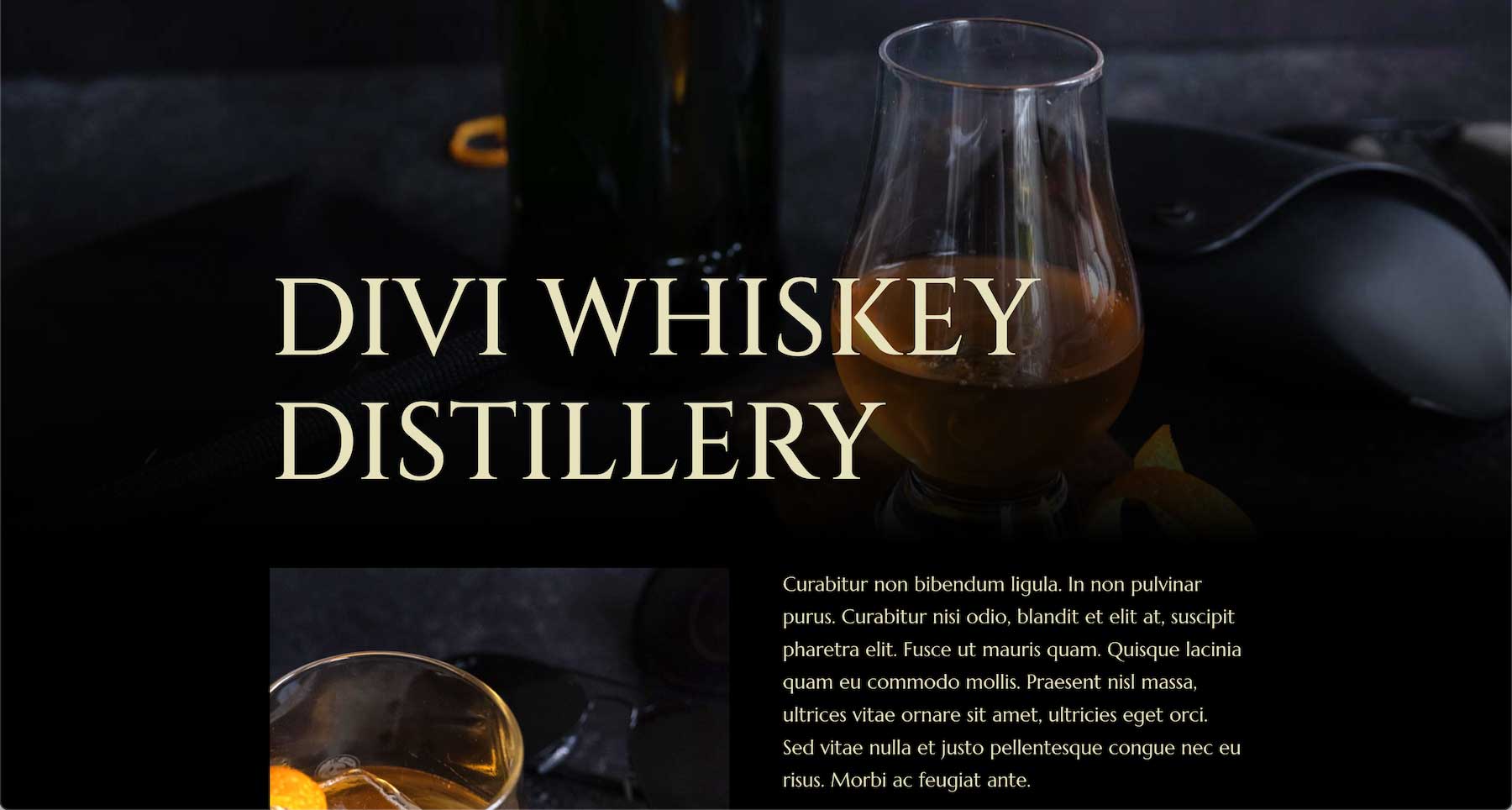 example of Divi Text Module