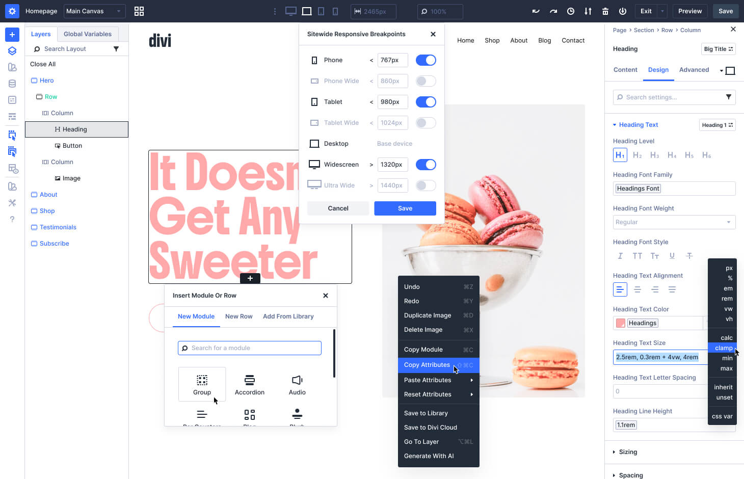 Divi User Interface