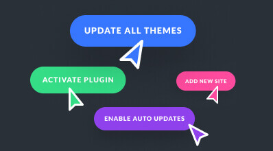 Divi Dash Collaboration