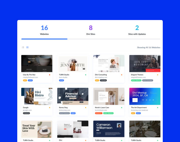 Divi for freelancers