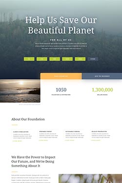 Non-Profit Layout Preview
